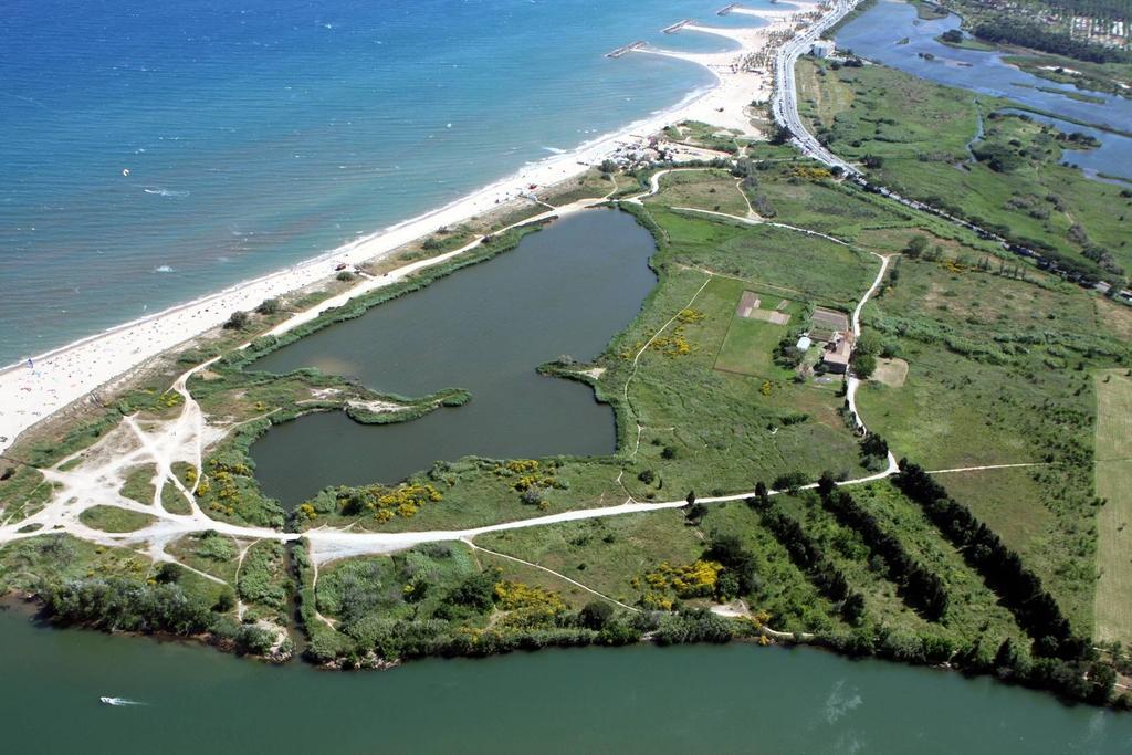 Au Reveil Des Cigales Saint Aygulf Exterior foto
