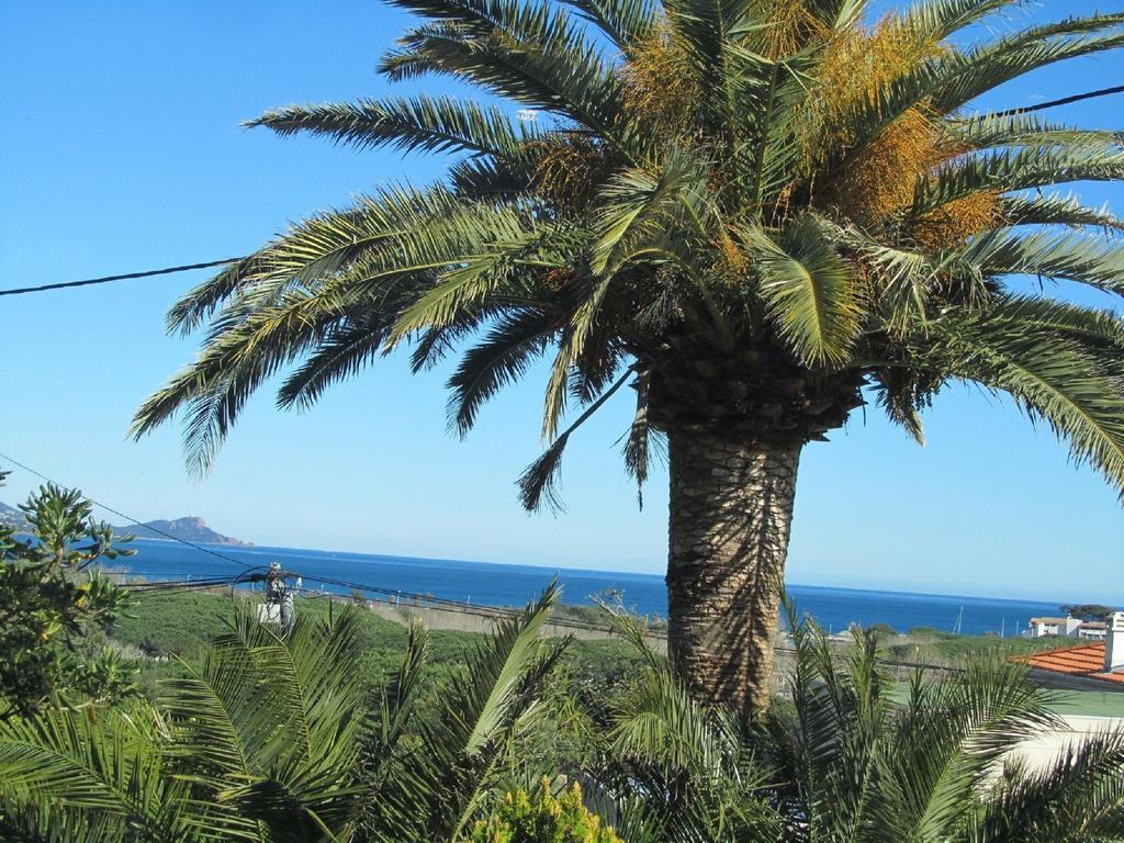Au Reveil Des Cigales Saint Aygulf Exterior foto